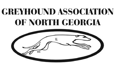 greyhound