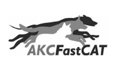 fastcat