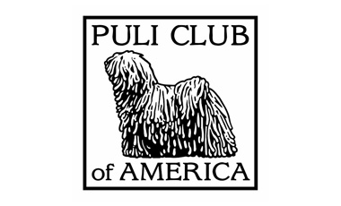 puli
